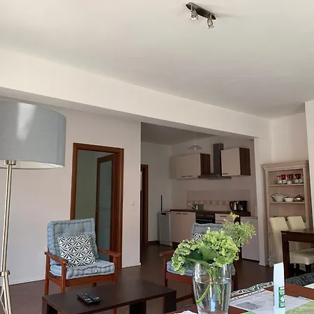 Apartmán Blue Palm Apartment, Ika-opatija Ika