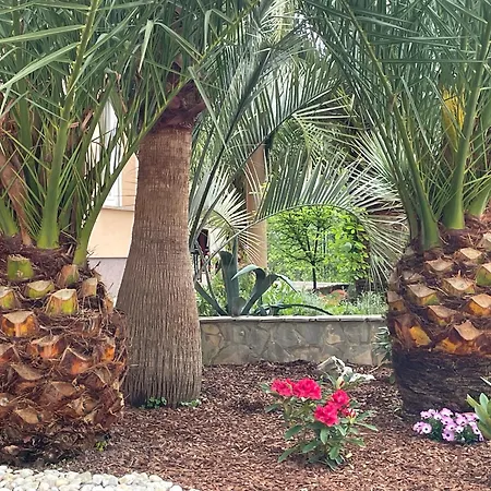 アパート Blue Palm Apartment, Ika-opatija イカ